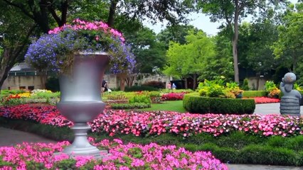 Nature sounds Meditation ●Singing Relaxing-4 mints ●JV NATURE LIFE