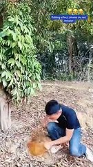 Funny videos @7 , try not to laugh, most funny and comedy videos