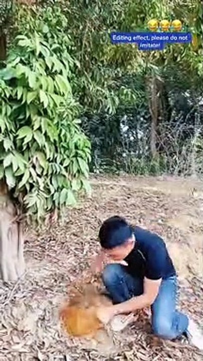 Funny videos @7 , try not to laugh, most funny and comedy videos