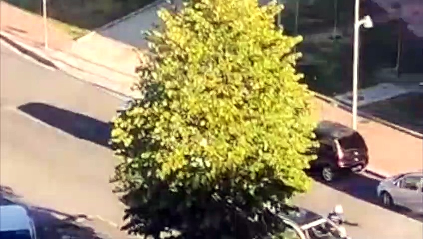 Video Milano, sgommate con una donna incinta. Poi il frontale in via Bolla e la fuga