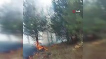 Son dakika haberi | Ormanlık alanda yangın çıktı