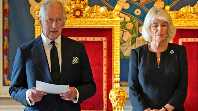 Big CHanges for Prince Andrew and Prince Harry if King Charles III’s amends law