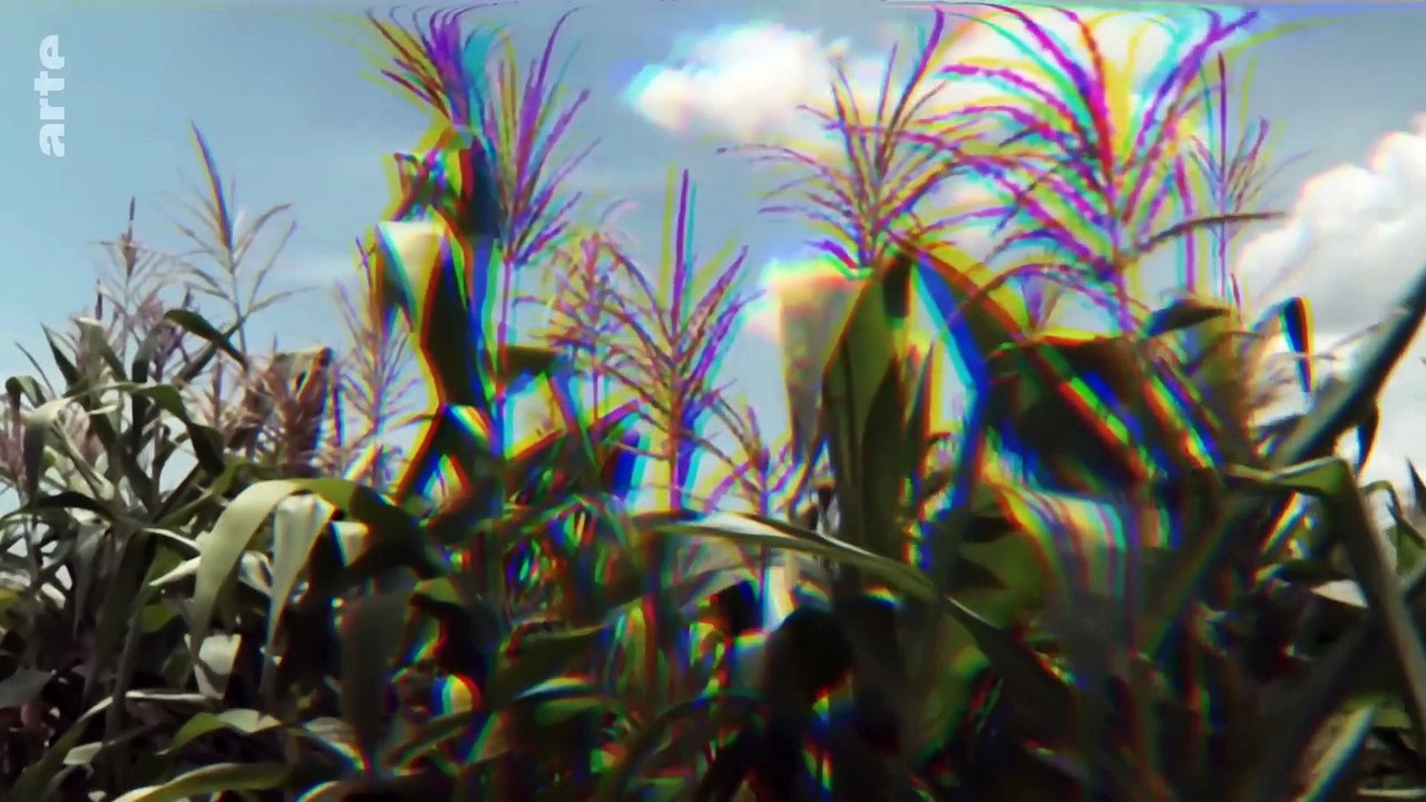 Genlabor Afrika - Die Geschäfte des Bill Gates | Doku HD ARTE