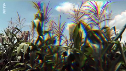 Genlabor Afrika - Die Geschäfte des Bill Gates | Doku HD ARTE