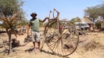 Artistas de Zimbabue convierten plantas invasoras en bestias fantásticas