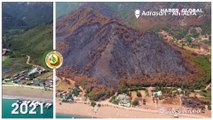 OGM, Antalya'da 5 yıl önce yanan ormanlık alanın yeni halini paylaştı