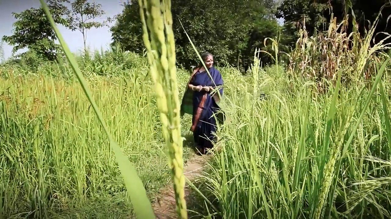 Vandana Shiva – Ein Leben für die Erde Trailer DF