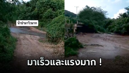 วินาทีน้ำป่าไหลหลาก จ.น่าน น้ำทะลักลงมาจากภูเขา พร้อมเสียงครืนอย่างน่ากลัว