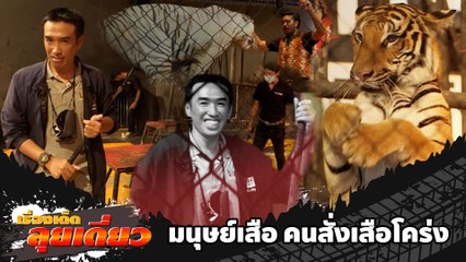 เรื่องเด็ดลุยเดี่ยว | มนุษย์เสือ คนสั่งเสือโคร่ง จ.ประจวบคีรีขันธ์ | ข่าวเที่ยงอมรินทร์ | 20 ก.ย.65