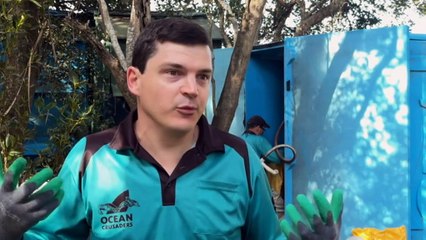 Conservation group in Queensland collects tonnes of flood debris