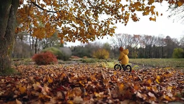 Colonel Harland Sanders Motivational Story In Hindi | KFC | Inspiring Speech