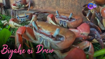 Biyahero Drew, sinubukang manghuli ng ‘kagang!’ | Biyahe ni Drew