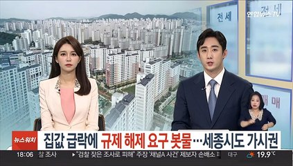 집값 급락에 규제 해제 요구 봇물…세종시도 가시권