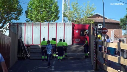 Traditionsreich und umstritten: Stierhatz in Spanien