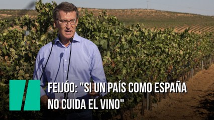 Feijóo: "Si un país como España no cuida el vino"