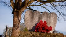Adieu, süßes Kind: Ungewöhnliches Schicksal von Zwillingen auf dem Friedhof entdeckt