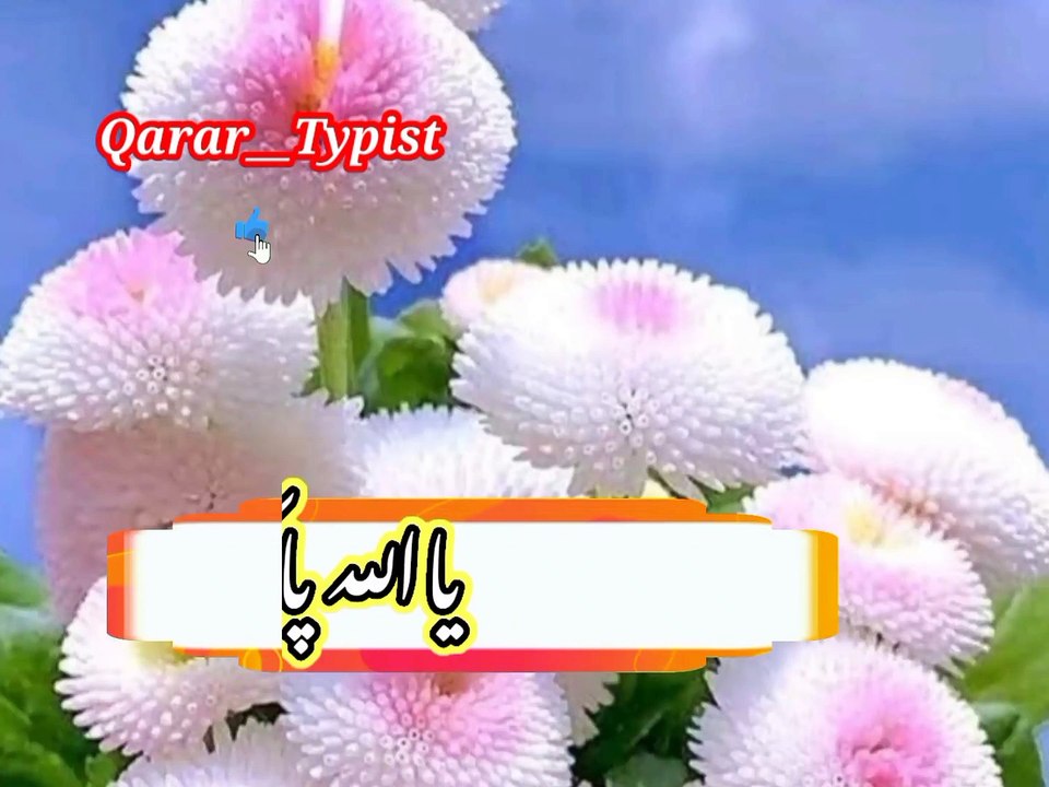 Ajj jumi ka mubareek din khai | آج جمعہ کےمبارک دن ھے | qarar__typist