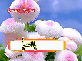 Ajj jumi ka mubareek din khai | آج جمعہ کےمبارک دن ھے | qarar__typist