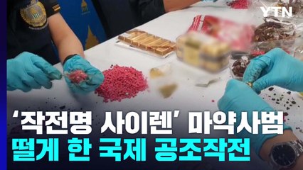 '작전명 사이렌' 마약사범 떨게 한 국제 공조작전 / YTN