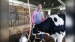 Süt Üreticileri, Ulusal Süt Konseyi'nin Fiyat Artırmamasına Tepkili: "Çiftçi Bu Kadar Bezdirilir mi Zarar Zarar Nereye Kadar?"
