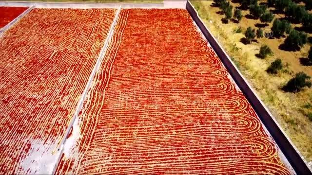 GAZİANTEP - Avukatlığı bırakıp enerjisini GES'ten alan biber işleme tesisi kurdu