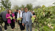 Karabük haberleri... Safranbolu'da tescilli 