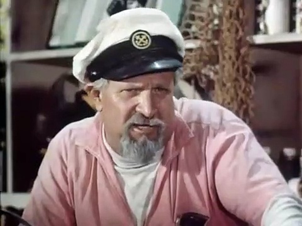 Flipper - Das Geburtstagsgeschenk