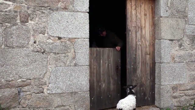 La Terre du milieu EXTRAIT VF Les agneaux