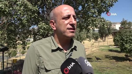 Üstlerinde 8 kınalı keklik ile yakalan 2 kişiye 33 bin lira ceza