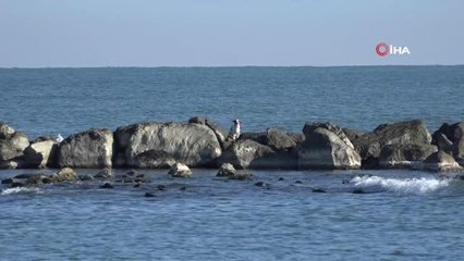 Denize girip mahsur kalan köpek böyle kurtarıldı