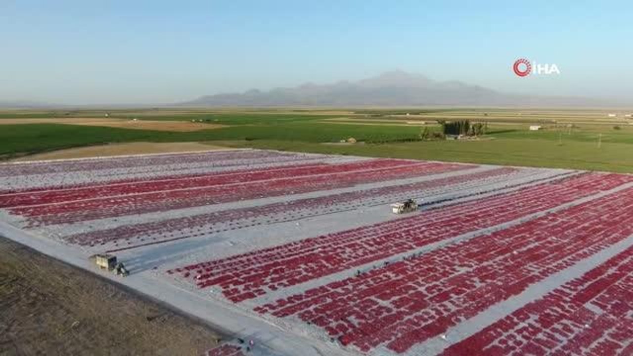 Erciyes'in etekleri kırmızıya boyandı
