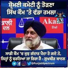 ਸਾਡੀ ਕੌਮ 'ਚ ਕੁਝ ਗੱਦਾਰ ਪੈਦਾ ਹੋ ਗਏ ਨੇ, ਜਿਨ੍ਹਾਂ ਨੂੰ ਵਰਤਿਆ ਜਾ ਰਿਹਾ ਹੈ - ਸੁਖਬੀਰ ਬਾਦਲ