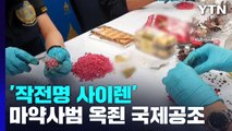 '작전명 사이렌' 마약사범 떨게 한 국제 공조 작전 / YTN