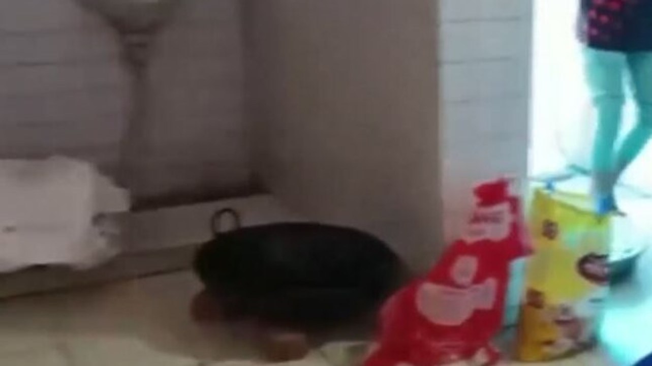 Kabaddi players served food cooked in toilet, official suspended; Karnataka govt blames PFI for hijab showdown; more