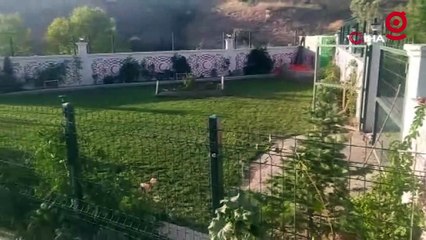 Çok sevdiği eşinin mezarını adeta bahçeye çevirdi