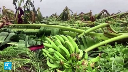 الإعصار فيونا يقتل 3 أشخاص في الدومينيكان وبويرتوريكو