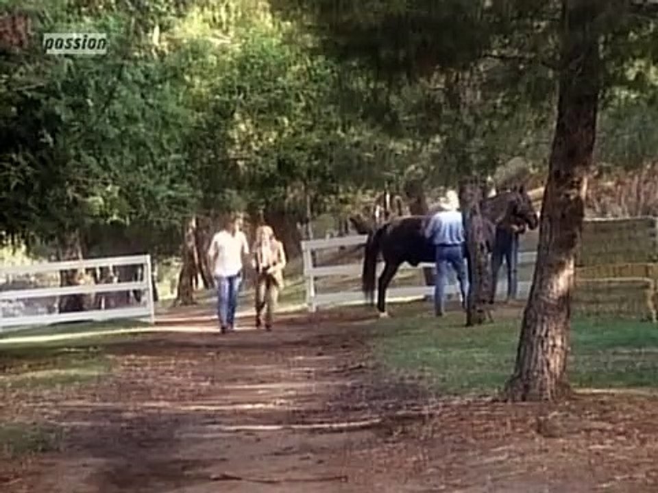 Unter der Sonne Kaliforniens Staffel 12 Folge 8