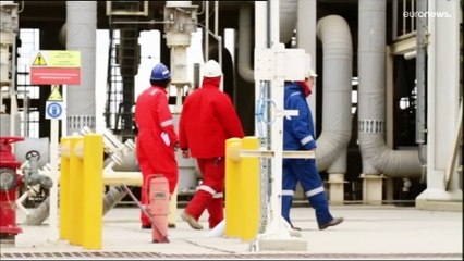 Deutschland lehnt Preisobergrenzen für Gasimporte entschieden ab