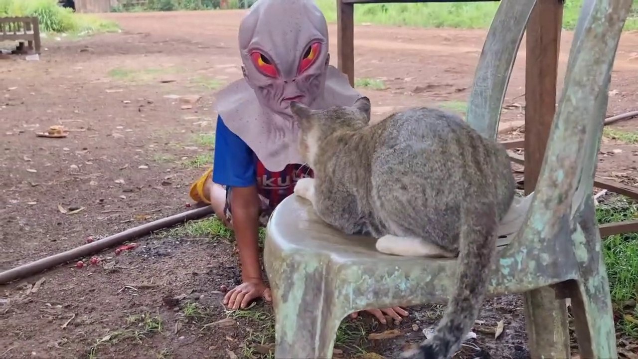 Fake chucky and Fake Alien and Fake Wolf Prank to dog and cat Reviews Videos I Chucky palsu dan Alien Palsu dan Serigala Palsu Video reaksi anjing dan kucing I नकली चंकी और नकली विदेशी और नकली भेड़िया कुत्ता और बिल्ली प्रतिक्रिया वीडियो, नवीनतम अजीब पशु व