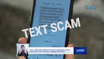 CICC: Anim na sindikato na posibleng nasa likod ng text scams, iniimbestigahan | Saksi