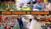 Significance of Pitru Paksha | What is Shradh Pind Daan in Hinduism | Haridwar Vlog | Oneindia News