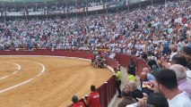 El activista antitaurino Peter Janssen, el martes 13 de setiembre, en la plaza de toros de Murcia, pateado por la cuadrilla de uno de los diestros.