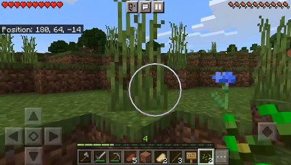 MY FIRST WHEAT FARM|MINECRAFT SURVIVAL SERIES EP#3