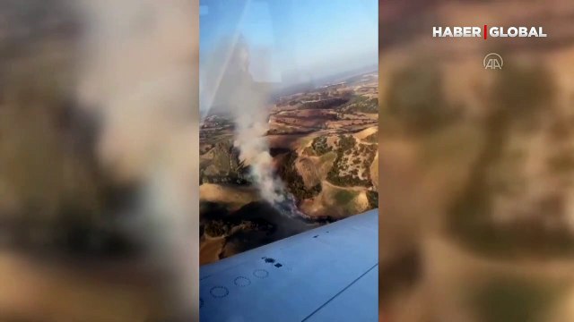 Adana'nın Çukurova ilçesinde orman yangını!