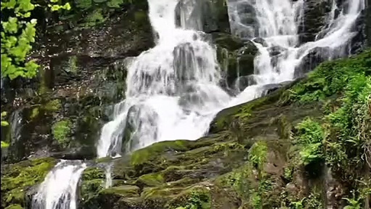 Musique Classique Relaxante avec sons de nature pour travailler, étudier et se concentrer