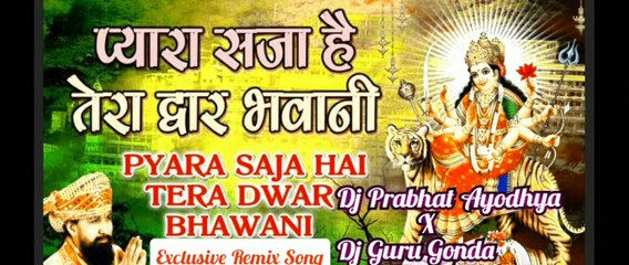 pyara saja hai Tera dwaar bhawani dj song