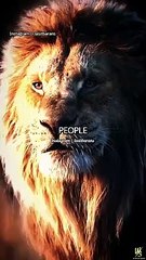 NEVER INSULT ~ Sigma Rule attitude whatsapp status ৷৷ shorts motivational status.