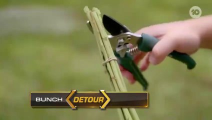 The Amazing Race Australia S06E11