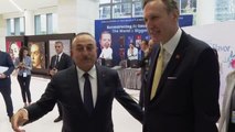 Dışişleri Bakanı Çavuşoğlu, Karadağ'lı mevkidaşı Krivokapic ile görüştü