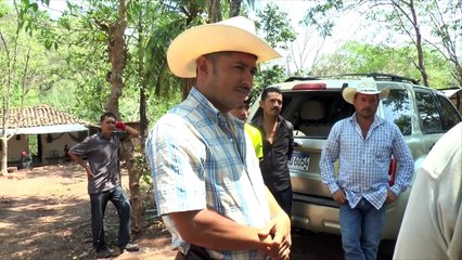 Comisión investiga misteriosa muerte de semovientes en la Arada, Santa Bárbara